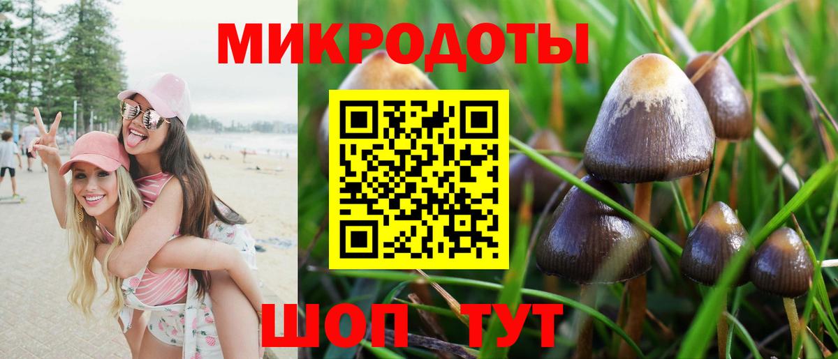 Миасс  Галлюциногенные грибы мухоморы  Псилоцибиновые грибы Magic Shrooms  Вход с VPN 